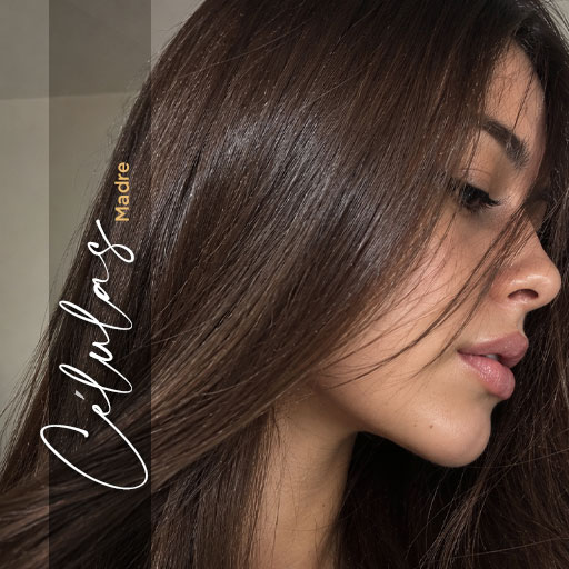 Células Madre