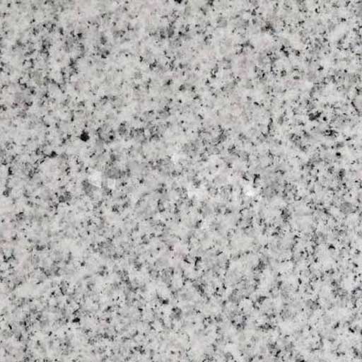 Granito Blanco Cristal
